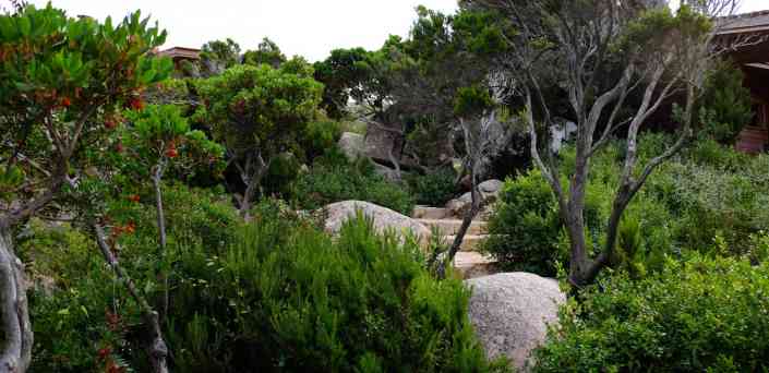 Architecte paysagiste Corse du Sud